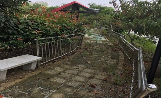 ���Ϸ���վ���¼��g�a�I�_�l�^**������e���޹�˾�����ټ��w�����ϵķ�������ľ����������Y�a�Ј��rֵ�u�����Ŀ����