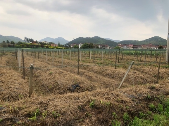 �~��۽����ۅ^�F·���þ��漰λ�ژ�ꖿh�X�悵Ĺ��V�������o���Oʩ�a���r���u��